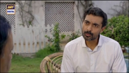 Mere Humsafar - Episode 31 - 4th Aug 2022